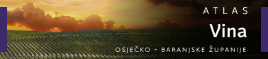atlas vina banner 378x841