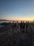Img 20260820 Wa0012