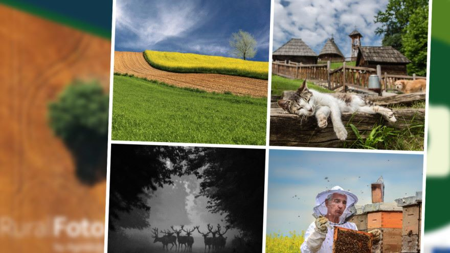 Otvoren izbor za najbolje ruralne fotografije u 2024. godini – nominirajte svoju