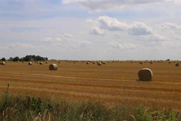 Otvoreni javni pozivi iz poljoprivrede i ruralnog razvoja