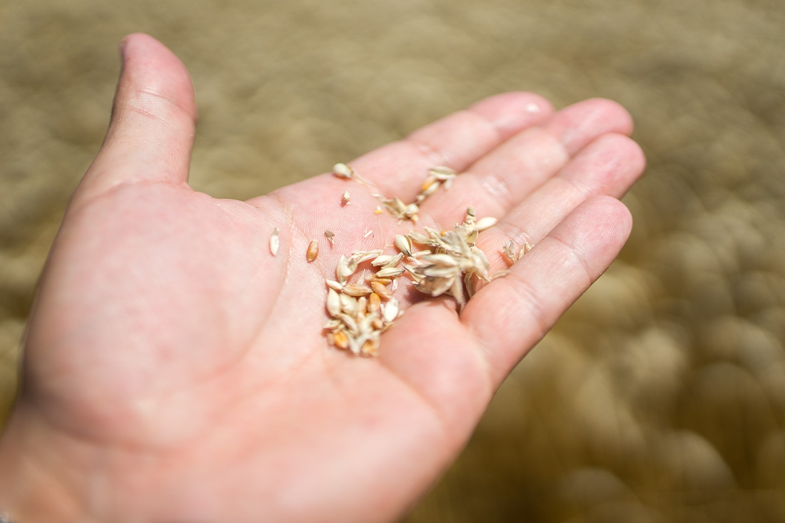 Otvoren javni poziv za potpore u poljoprivredi i ruralnom razvoju