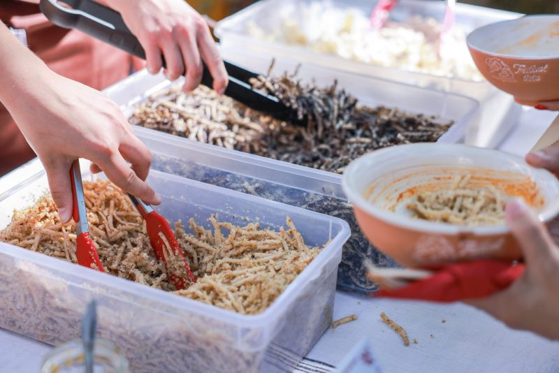Baranjski bećarac okupio podunavske Hrvate i pokazao raskoš kulture, tradicije i gastronomije