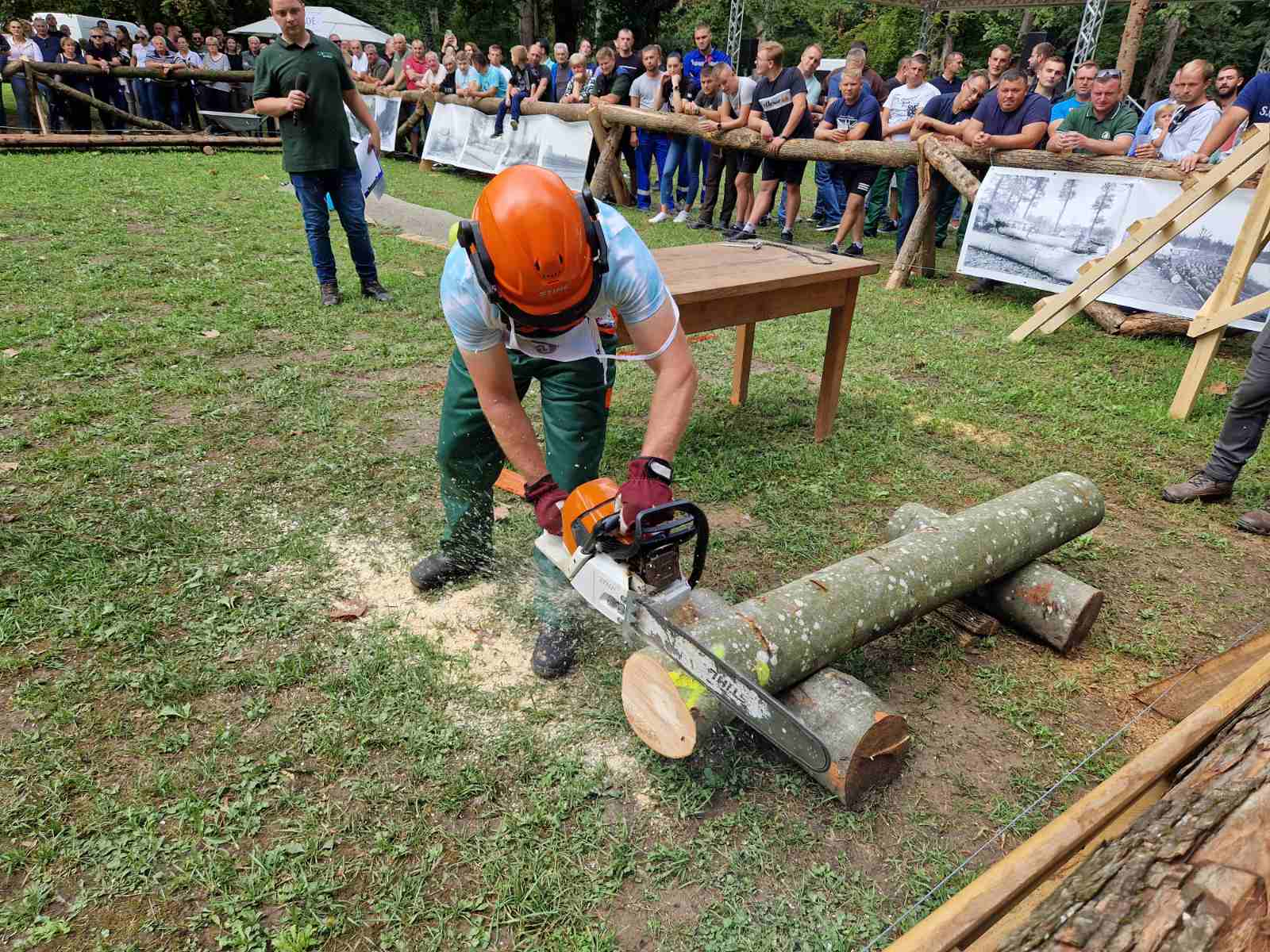 Ljepote Našica u svjetlu Dana slavonske šume