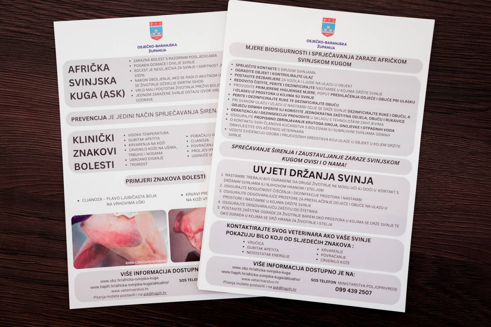 Ovaj tjedan isplate potpora za proizvođače svinja za ublažavanje afričke svinjske kuge