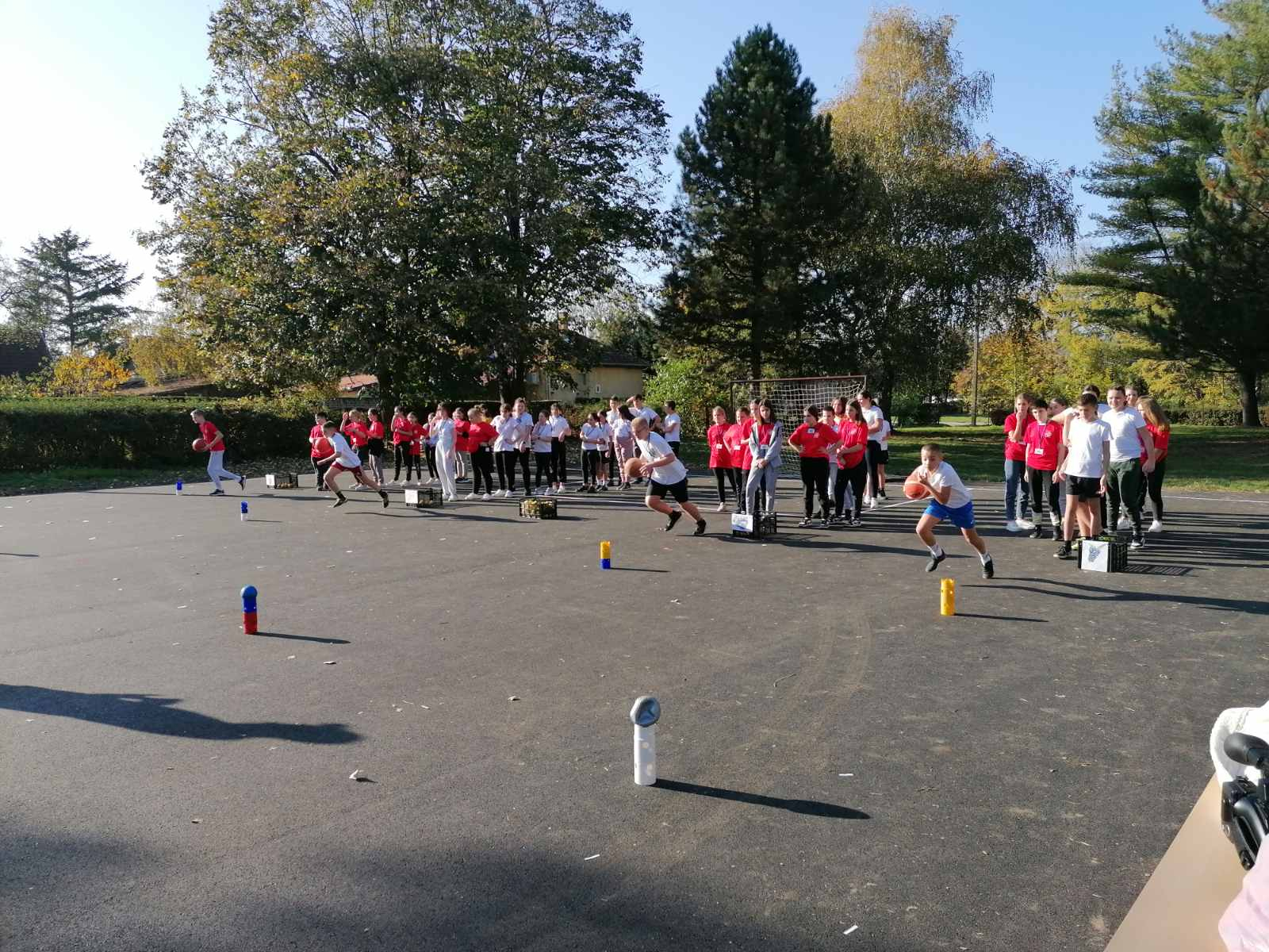 Zajednički projekt OŠ „M. Gubec“, Tavankut i OŠ Gorjani