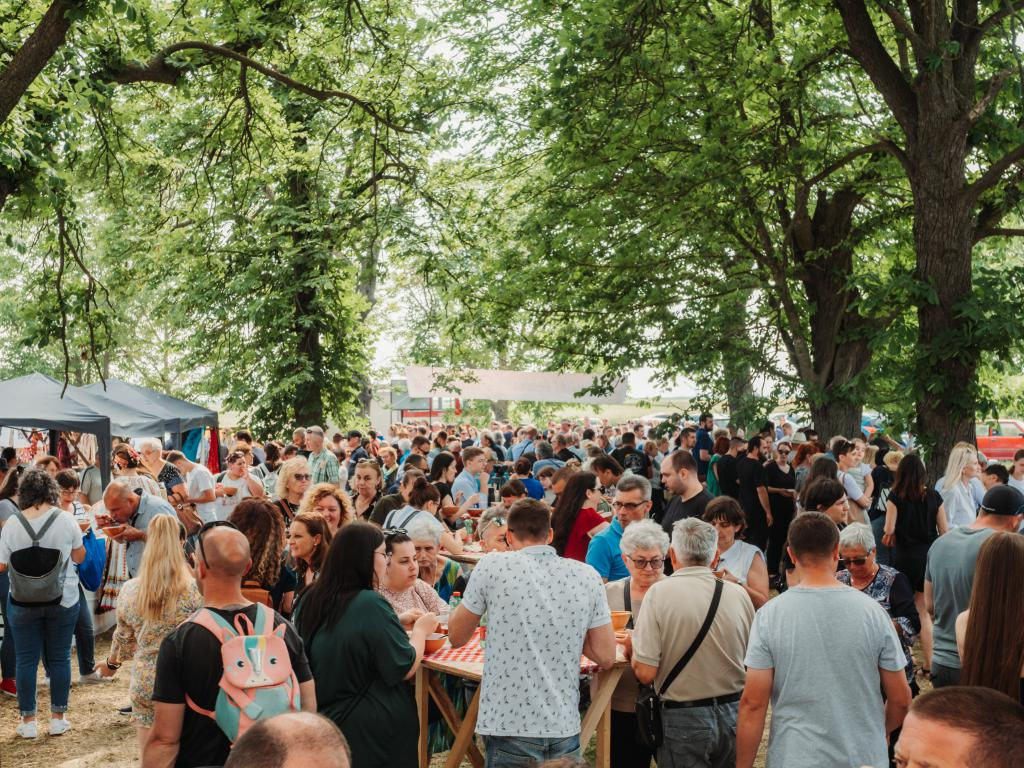 Skup Podunavskih Hrvata, Festival tista i Baranjski bećarac obilježili su vikend u Baranji!