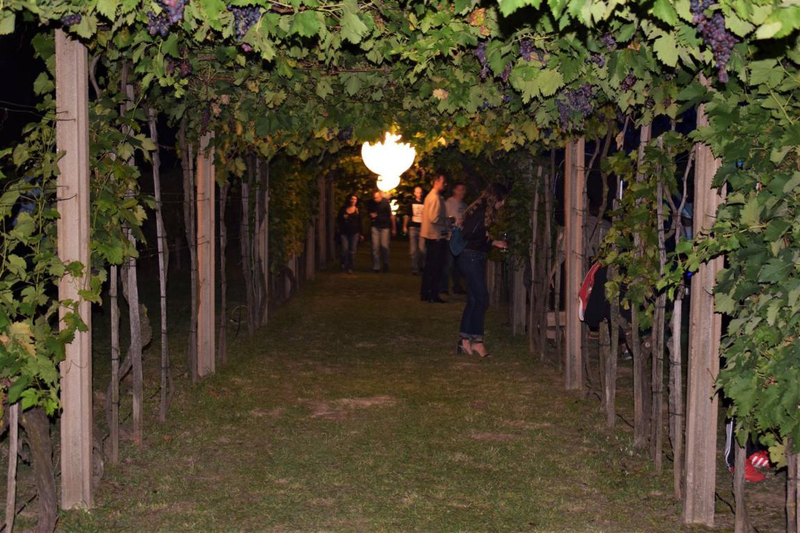 „Wine & Bike Tour Erdut 2018“