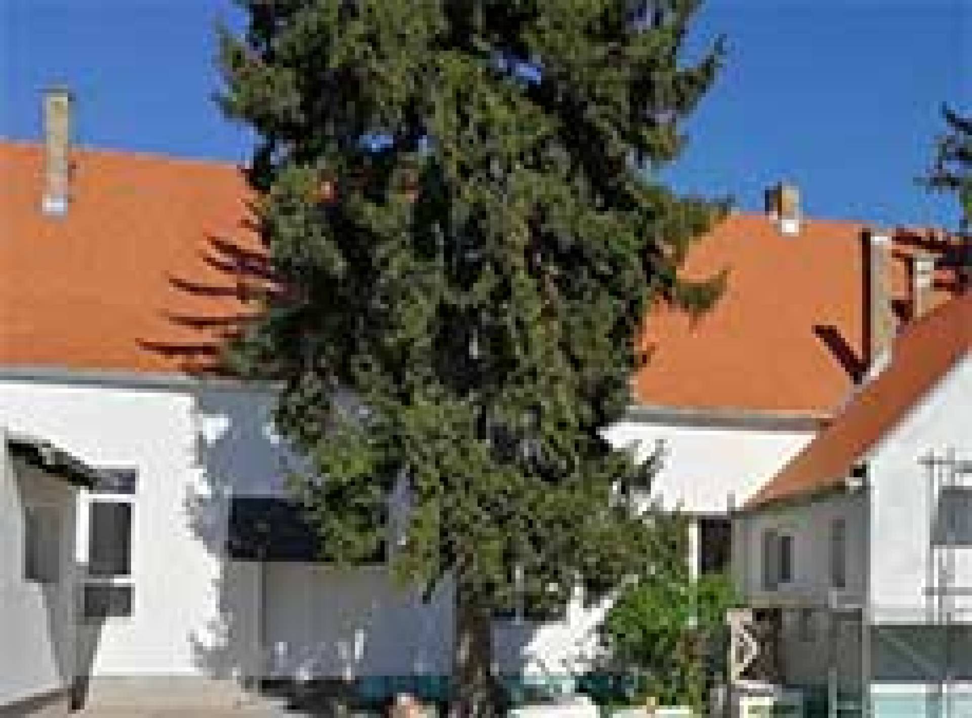 ENERGETSKA OBNOVA ZGRADE OSNOVNE ŠKOLE HRVATSKI SOKOL PODGAJCI PODRAVSKI, PODRUČNA ŠKOLA ČRNKOVCI KK.04.2.1.03.0031